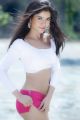Actress Gehana Vasisth Spicy Hot Photo Shoot Images