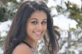 Tapsee Stills @ Vandhan Vendran