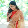 New Tamil Actress Vani Bhojan Latest Photoshoot Images