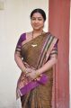 Actress Radhika Sarathkumar in SUN TV Vani Rani Serial Photos