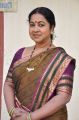 Actress Raadhika Sarathkumar in SUN TV Vani Rani Serial Photos