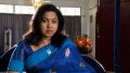 Actress Raadhika Sarathkumar in SUN TV Vani Rani Serial Photos