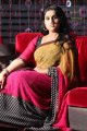 Vanitha Vijayakumar in Hot Saree Pics