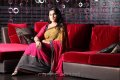 Vanitha Vijayakumar in Saree Photo Shoot Stills