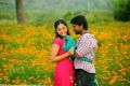 Krishna Kulasekaran, Sunaina At Vanmam Movie Stills