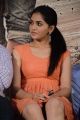 Actress Sunaina @ Vanmam Movie Press Meet Stills