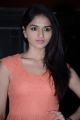 Actress Sunaina @ Vanmam Movie Press Meet Stills