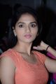 Actress Sunaina @ Vanmam Movie Press Meet Stills