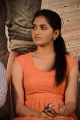 Actress Sunaina @ Vanmam Movie Press Meet Stills