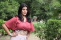 Actress Varalaxmi Latest Hot Images @ Sathya Success Meet