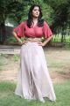 Tamil Actress Varalakshmi Hot Images @ Sathya Success Meet