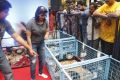 Varalaxmi Sarathkumar Initiates ​Adoptathon Photos