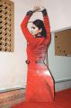 Anushka Shetty in Varna Movie Audio Launch Posters