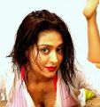 Actress Varsha Aswathy Hot Photoshoot Stills