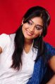 Peranmai Actress Varsha Ashwathi Photo Shoot Stills