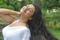Tamil Actress Varsha K Pandey Hot Stills