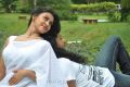 Sathya Sai Movie Actress Varsha K Pandey Hot Stills