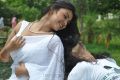 Actress Varsha K Pandey Hot Stills in Ivan Yaaro