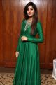 Model Varshini Sounderajan Photos in Green Dress HD