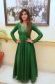 Model Varshini Sounderajan in Green Dress Photos HD