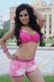 Vasool Raja Telugu Movie Item Girl Hot Stills