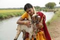 Actress Vasundhara Kashyap Sonna Puriyathu Movie Photos