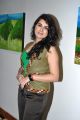 Actress Veda Archana Hot Photos at Dr.Snehlata Prasad Paintings