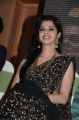 Actress Vedhika Black Saree Photos @ Kaaviya Thalaivan Audio Release