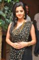 Actress Vedhika Black Saree Photos @ Kaaviya Thalaivan Audio Release