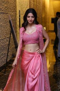 Actress Vedika New Photos @ Razakar Pre-Release
