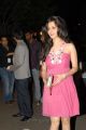 Actress Vedika New Hot Pics in in Pink Gown