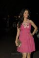 Actress Vedika New Hot Pics in in Pink Gown