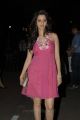 Vedhika Kumar Hot Photoshoot Pics in Pink Dress