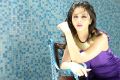 Vedika Hot Photo Shoot Pics