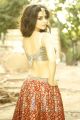 Vedhika Kumar Hot Photo Shoot Pics