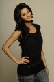 Vedika Photo Shoot Stills