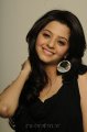 Vedika Photo Shoot Stills