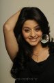 Vedika Photo Shoot Stills