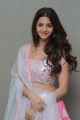 Actress Vedika Latest Stills @ Ruler Movie Success Meet