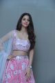 Actress Vedhika Latest Stills @ Ruler Movie Success Meet