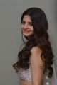 Actress Vedhika Latest Stills @ Ruler Movie Success Meet