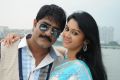 Srikanth, Kamna Jethmalani in Veediki Dookudekkuva Movie Stills