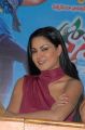 Actress Veena Malik Hot Images