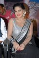 Actress Veena Malik Hot Saree Pics