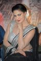 Actress Veena Malik Hot in Saree Photos