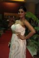 Actress Veena Malik Hot Stills in White Off-Shoulder Gown