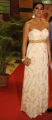 Veena Malik Hot Photos At Zindagi 50 50 Premiere Show