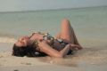 Dirty Picture Silk Sakkath Maga Veena Malik Hot Stills