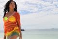 Veena Malik Hot Stills in Dirty Picture Silk Sakkath Maga