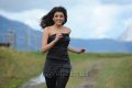 Kajal Agarwal Hot Stills